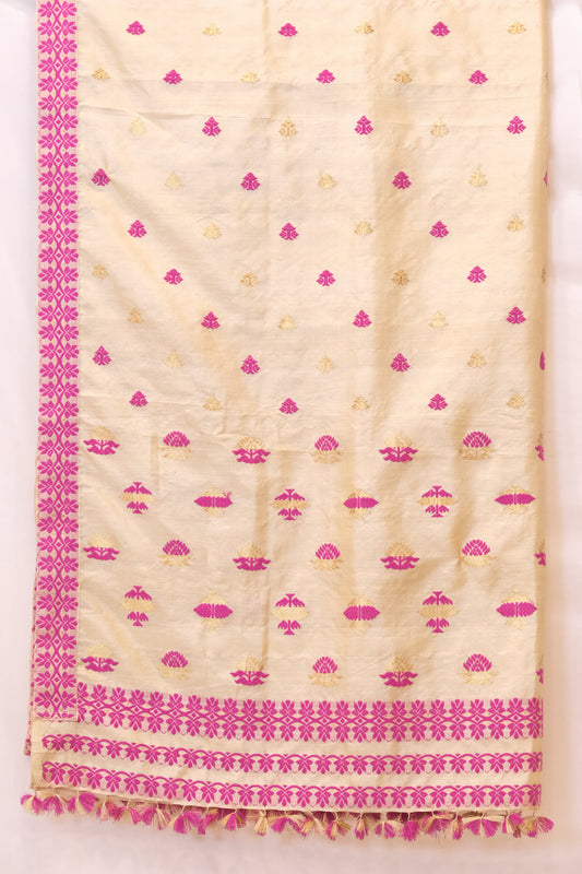 Saree - Tassar silk motifs in cotton