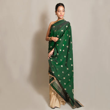 Single Sador - Mulberry silk & cotton motifs in muga ghisa