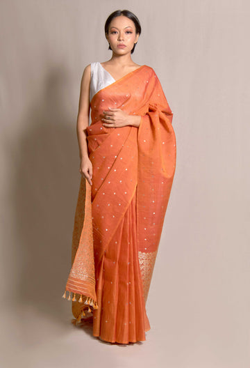 Saree - Mulberry silk (kesapat) motifs in Tassar silk & silver zari