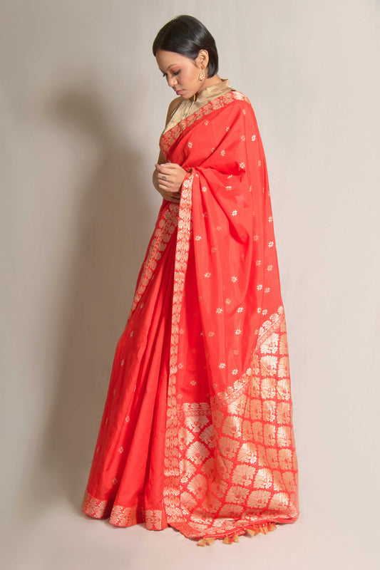 Saree - Mulberry silk & cotton, motifs in Tassar silk