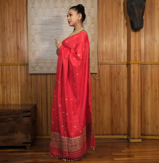 Single Sador - Mulberry silk(Paat) & cotton