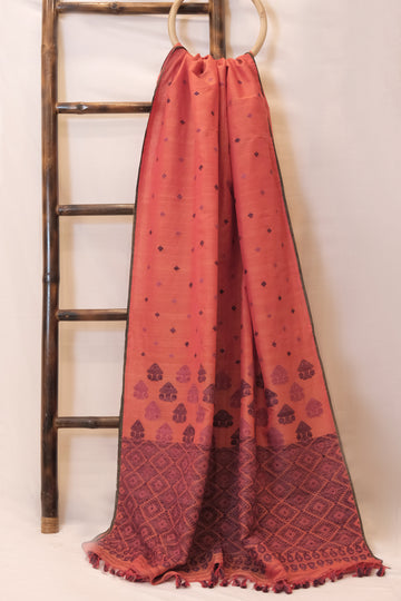 Saree - Tassar silk & cotton motifs in Eri silk natural dye