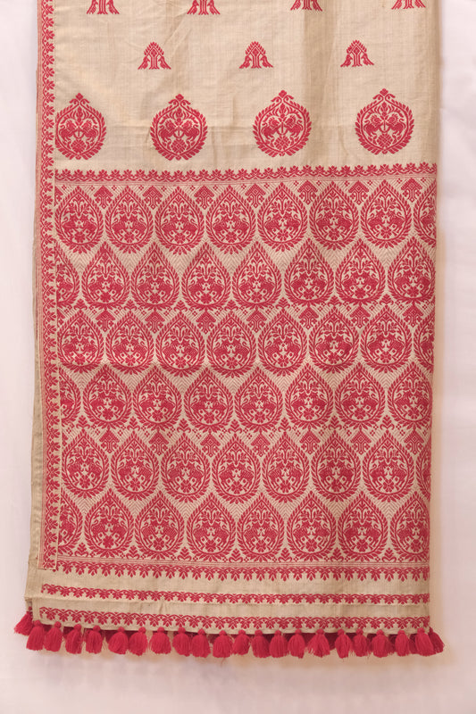 Saree - Muga silk motifs in cotton