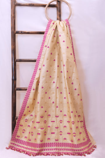 Saree - Tassar silk motifs in cotton