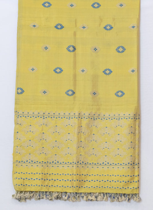 Single Sador - Mulberry silk & cotton motifs Muga ghisa silk & Eri silk natural dye