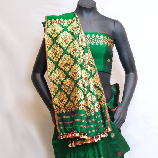 Saree - Mulberry silk & cotton, Motifs in Tassar silk