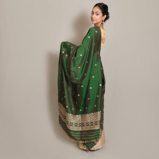 Single Sador - Mulberry silk & cotton motifs in muga ghisa