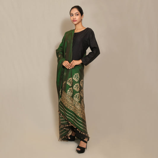 Dupatta - Mulberry silk (Paat) & cotton