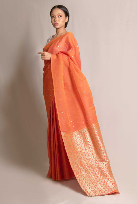 Saree - Mulberry silk (kesapat) motifs in Tassar silk & silver zari